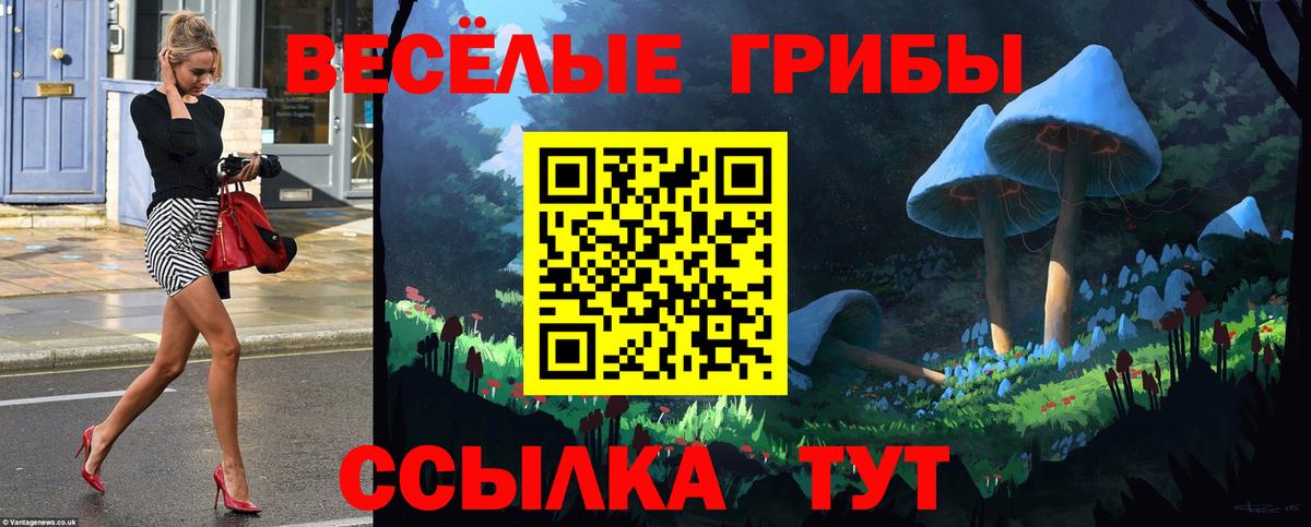 Прохладный  Псилоцибиновые грибы мицелий  Вход с VPN 