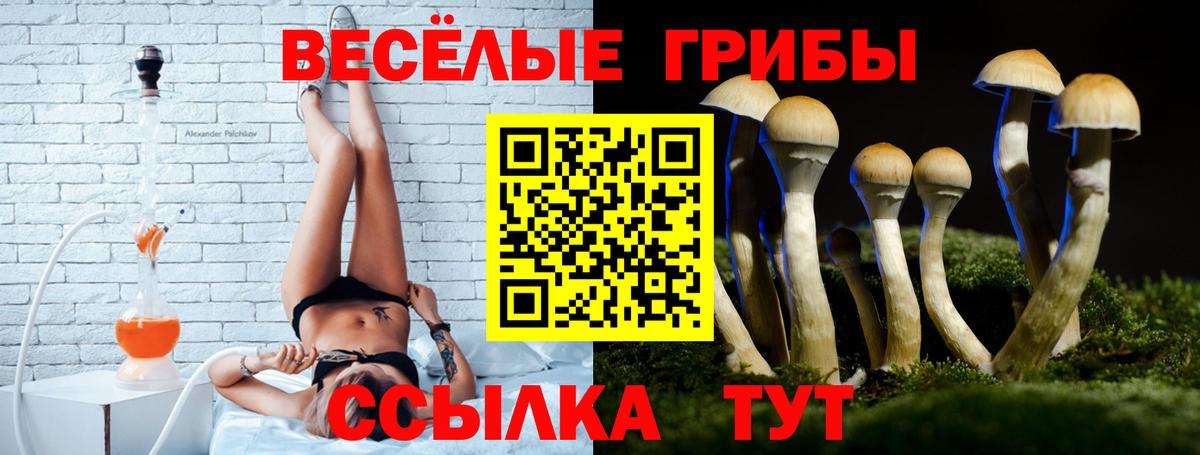 Псилоцибиновые грибы мицелий Прохладный